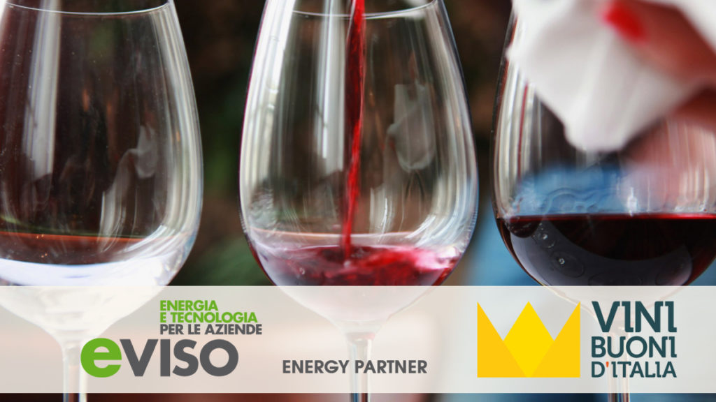 energy_parnter_vinibuoni