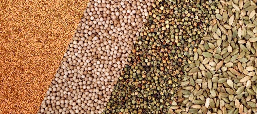 Essicatoio caso del risparmio energetico