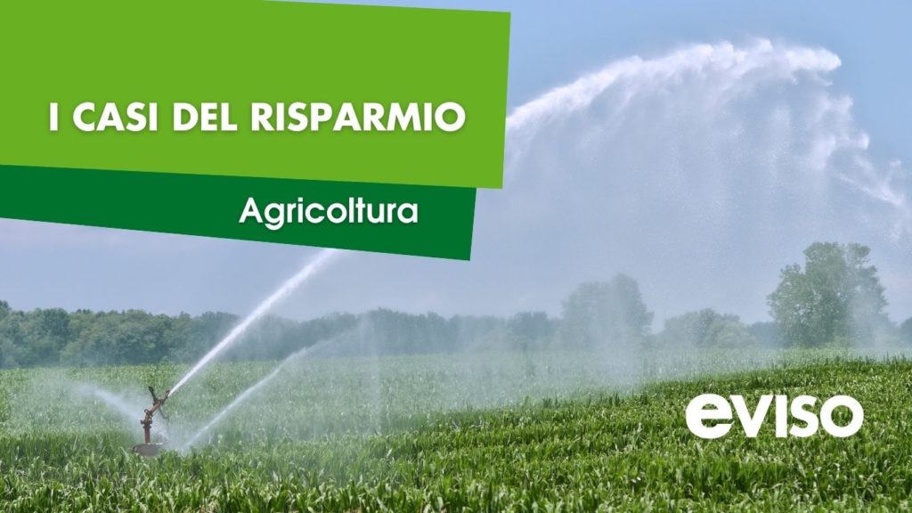 caso-pozzo-irriguo-eviso