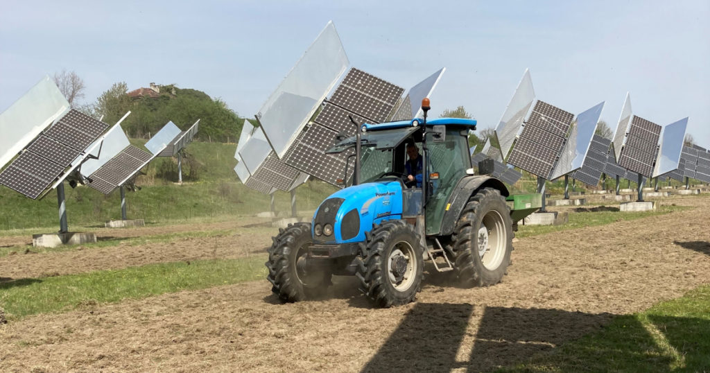 lago-solare-oasi-biodiversità