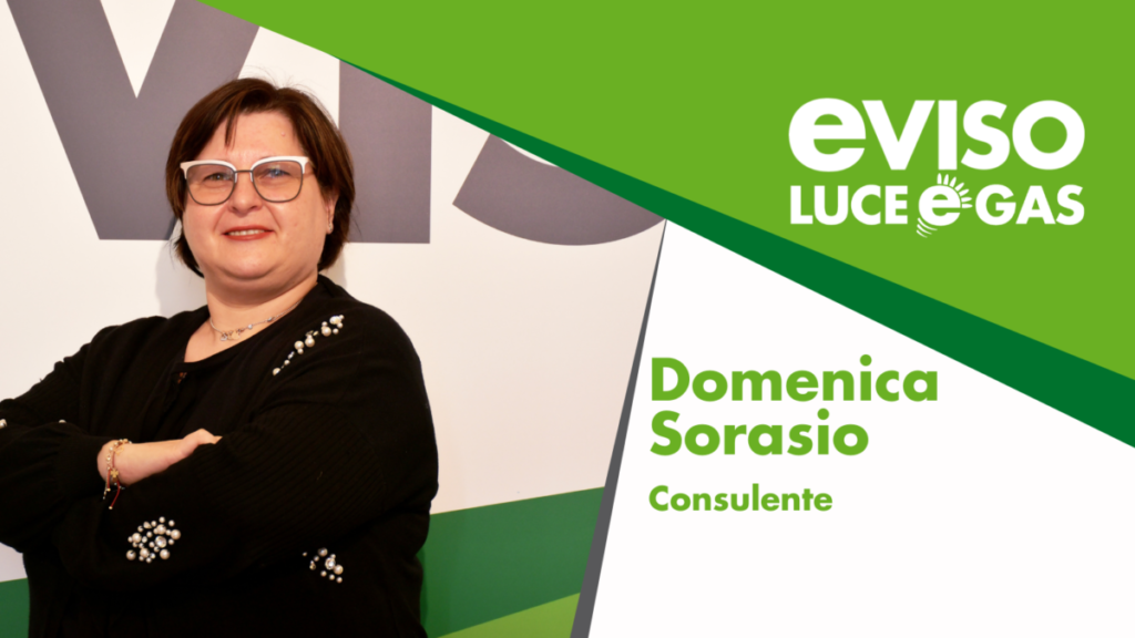 Domenica-Sorasio-consulente-eVISO